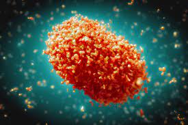 monkeypox virus image