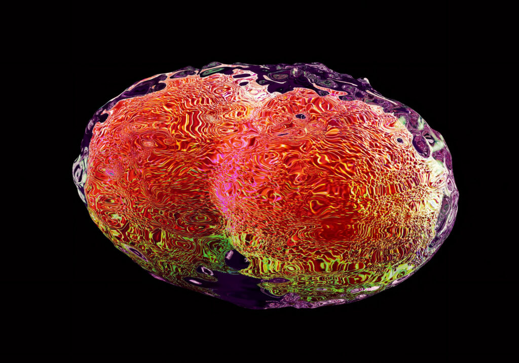 digitalized image of smallpox virus