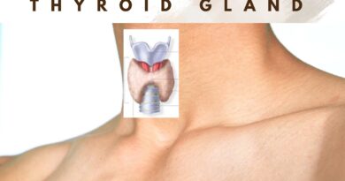 Thyroid Problems - what you need to know ?