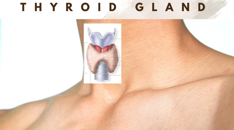 Thyroid Problems - what you need to know ?