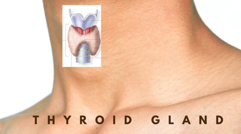 thyroid-problems-what-you-need-to-know-jayyush-hospital