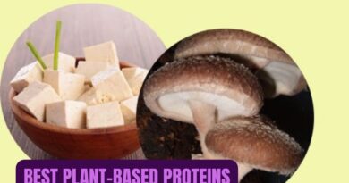 Best Plant-Based Proteins