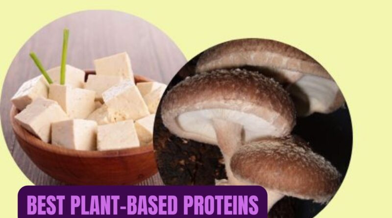 Best Plant-Based Proteins