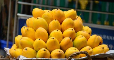 Guide to Relish Mangoes - Dos, Don'ts, Benefits, and More