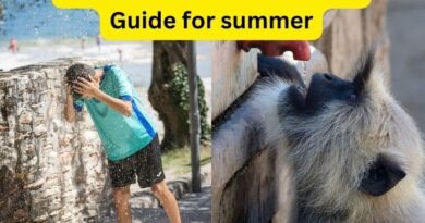 Heat Stroke - The Ultimate Guide for summer