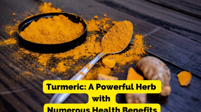 Turmeric: A Powerful Herb with Numerous Health Benefits